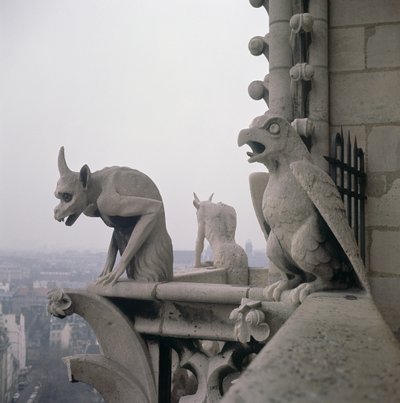 Gargoyles on the balustrade of the Grande Galerie, replica of a 12th century original by Eugene Emmanuel Viollet le Duc
